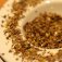 Oregano gerebelt